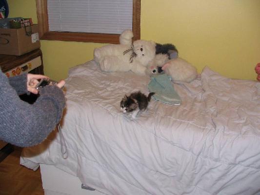 New Brunswick 2004 016.jpg